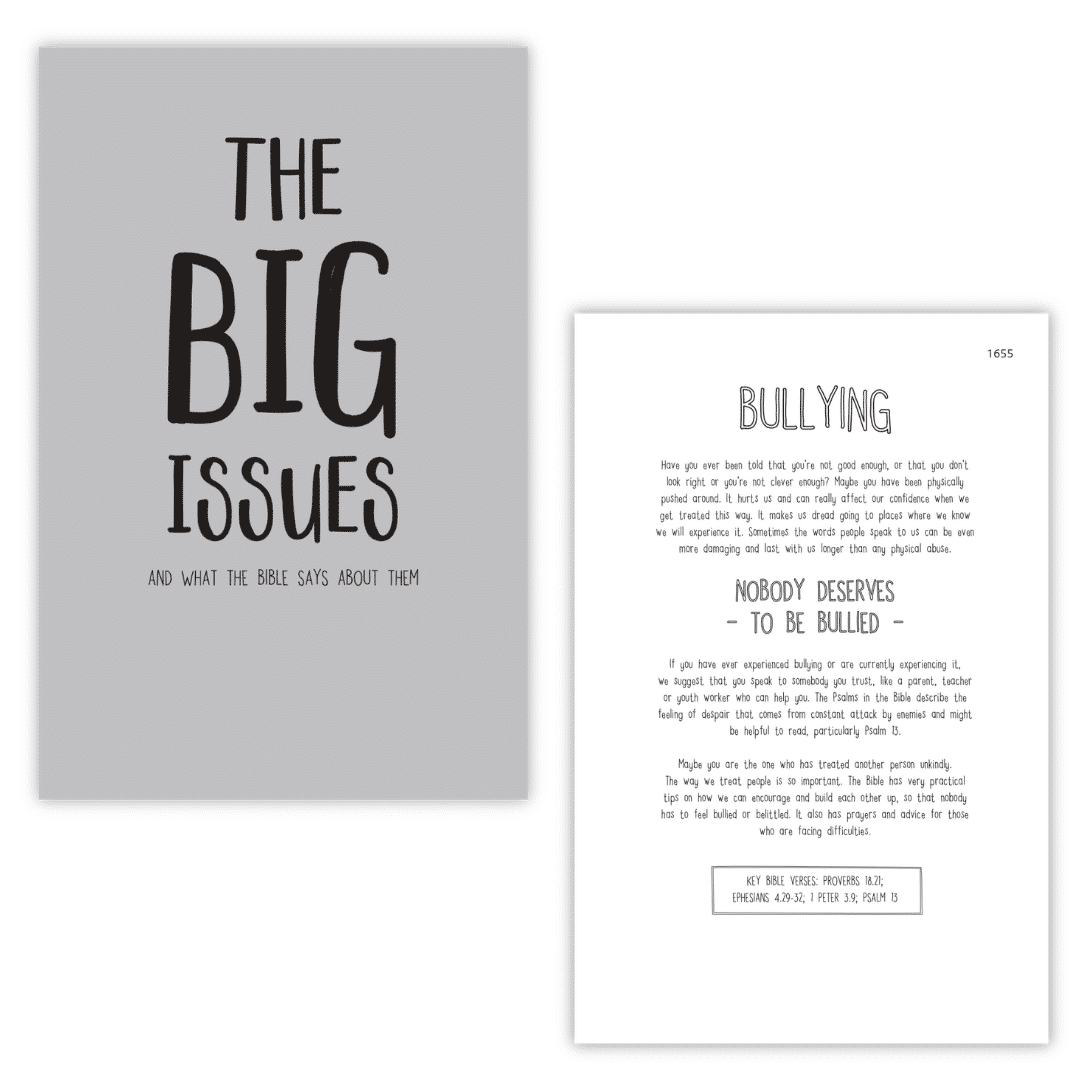 ESV (ENGLISH STANDARD VERSION) | INTERACTIVE YOUTH EDITION BIBLE | HARDBOUND COVER | BLUE - Image 8
