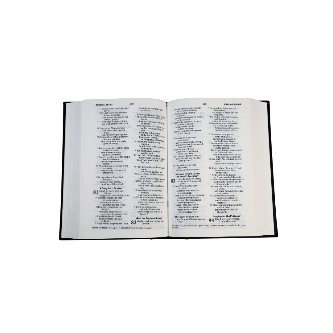 Good News Translation | Hardbound | small size | Protestant Edition - Image 4